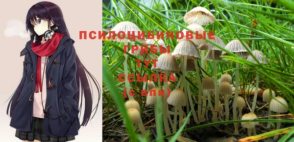 MESCALINE Абинск