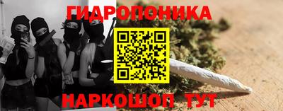 СК Ярославль