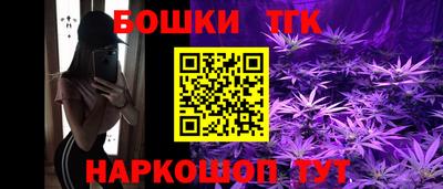 СК Ярославль