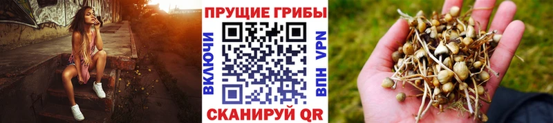Галлюциногенные грибы MAGIC MUSHROOMS  Ангарск 